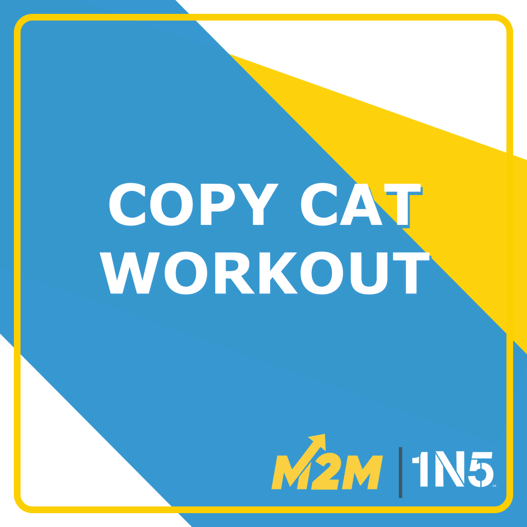 Copy Cat Workout