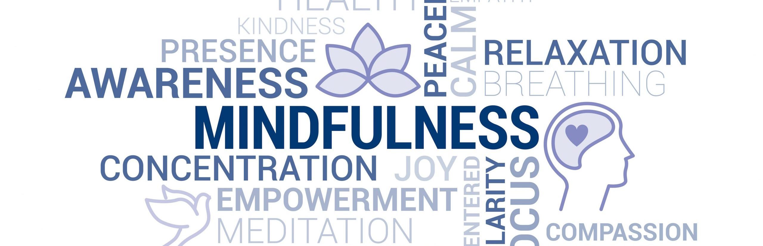 What Are Mindfulness Skills? 